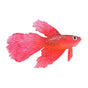 Tropical Betta Decoration with Realistic Floating Red Betta Fish, 1 Piece Aquarium Ornament
