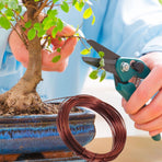 Aluminum Bonsai Wire Kit for Plant Training and Garden Shaping, 1 Set for Horticulture Care