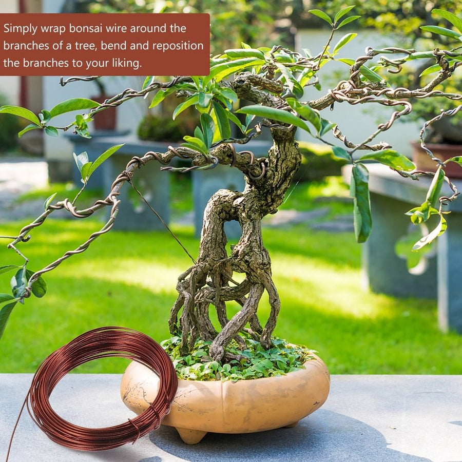 Aluminum Bonsai Wire Kit for Plant Training and Garden Shaping, 1 Set for Horticulture Care