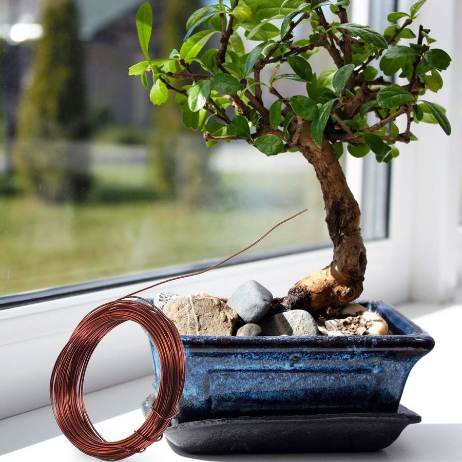 Aluminum Bonsai Wire Kit for Plant Training and Garden Shaping, 1 Set for Horticulture Care