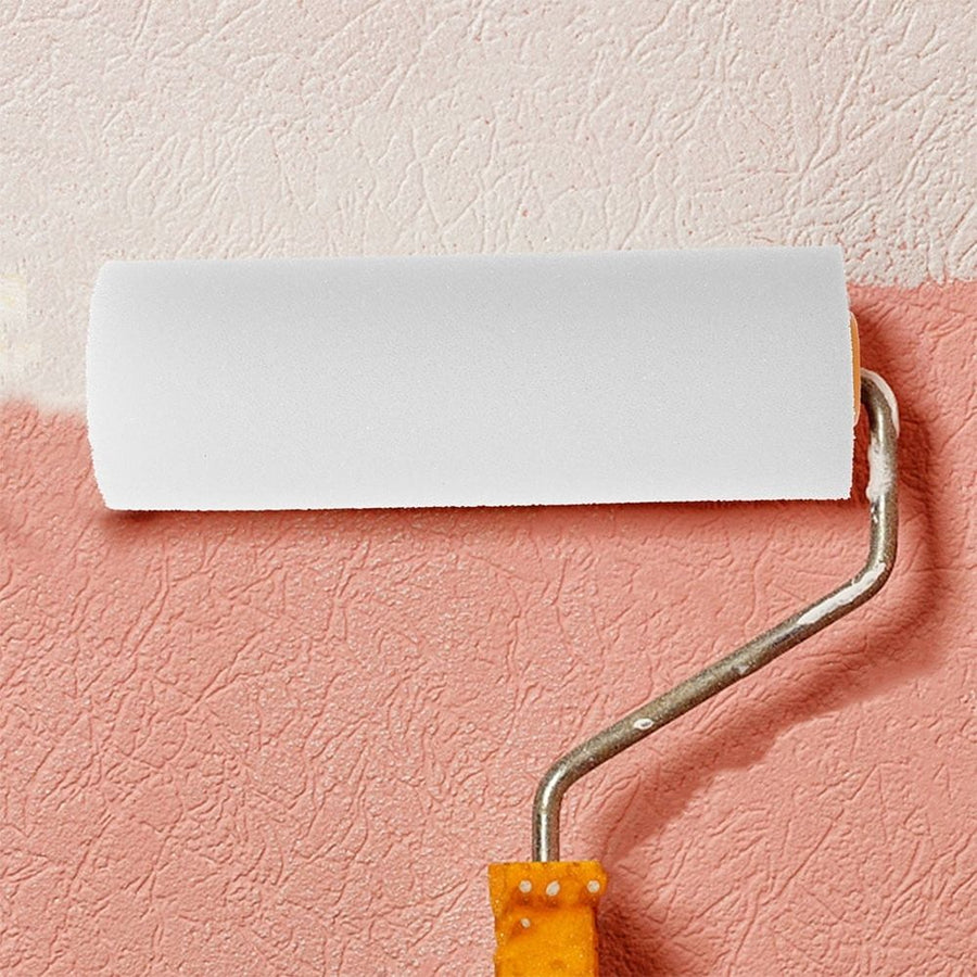 6Pcs Paint Brush and Roller Kit Wall Painting Supplies for Homeowners