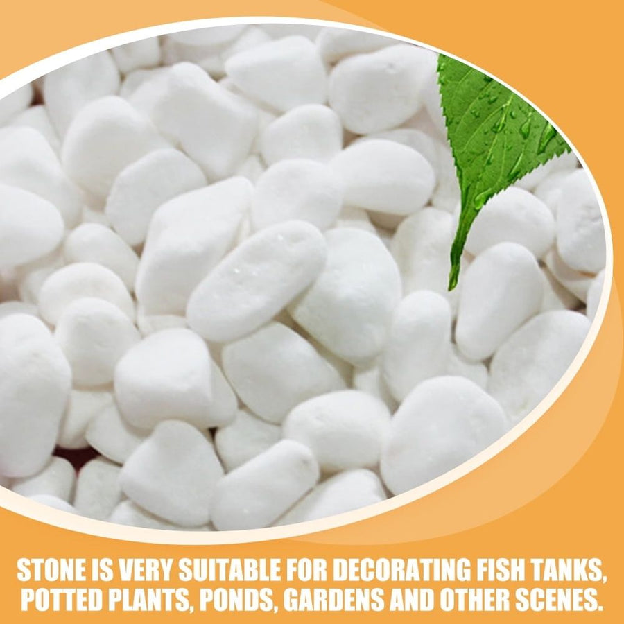 White Decorative Gravel for Landscaping, Fish Tanks, Aquariums, and Craft Projects - 1 Set