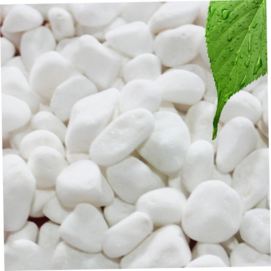 White Decorative Gravel for Landscaping, Fish Tanks, Aquariums, and Craft Projects - 1 Set