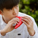 12-Hole Red ABS Plastic Ocarina for Beginners with Carrying Case and Storage Bag Included
