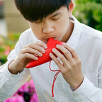 12-Hole Red ABS Plastic Ocarina for Beginners with Carrying Case and Storage Bag Included