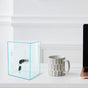Lockable Acrylic Money Jar for Cash Donations and Tip Collection