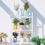 7" Plastic Plant Pots, Resin Thickened Seedlings Nursery Pots, Flower Plant Container Seed Starting Pots for All House Plants, Herbs and Seedling Nursery