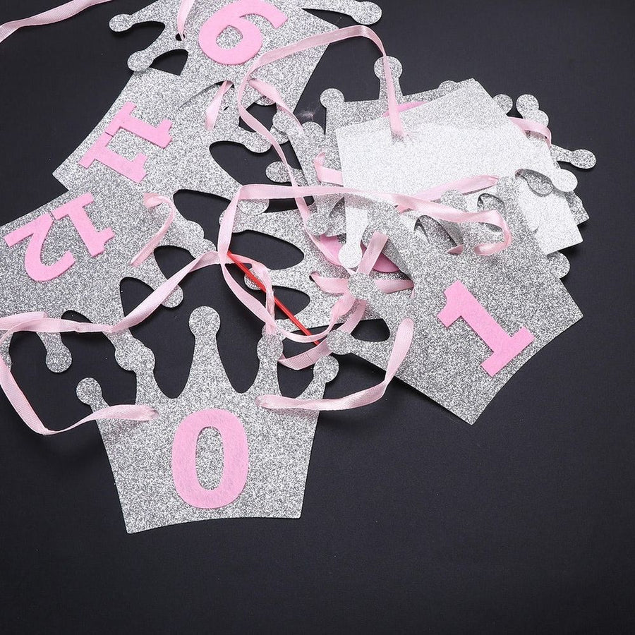 Pink Monthly Paper Banner for 1st Birthday Photo Milestones