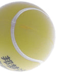 Professional Massage Hand Grip Ball Finger Exercise Squeeze Stroke Recovery Ball