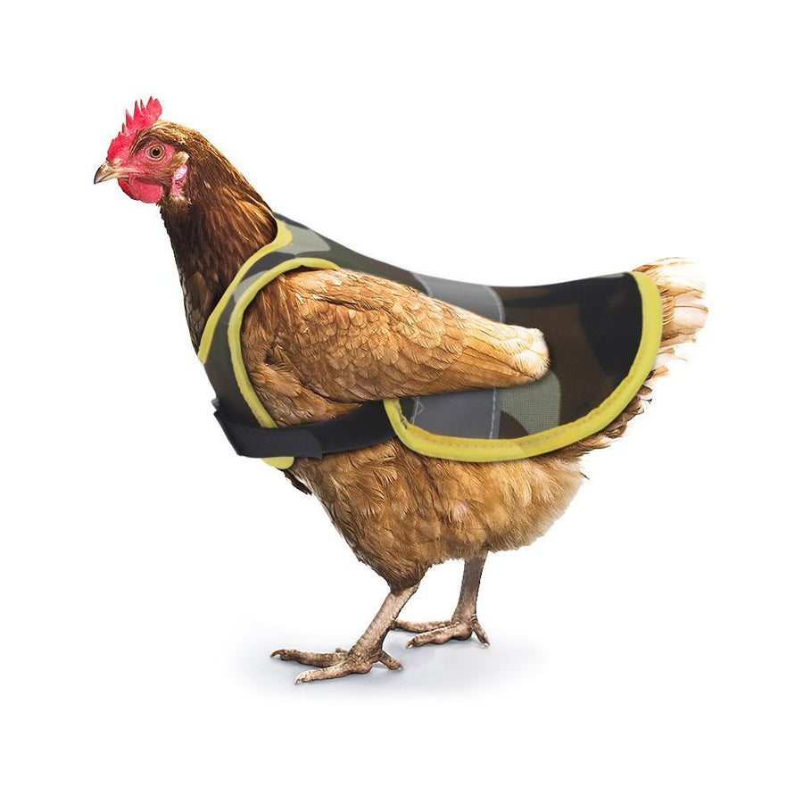 Chicken saddle - hen saddle, chicken back to protect the hen, chicken apron to protect the hen saddle