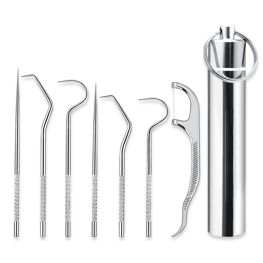 Metal Toothpicks for Teeth Set (7Pcs ), Portable Reusable Stainless Steel Toothpicks Pocket Set with Holder Dispenser, Fruit Picks