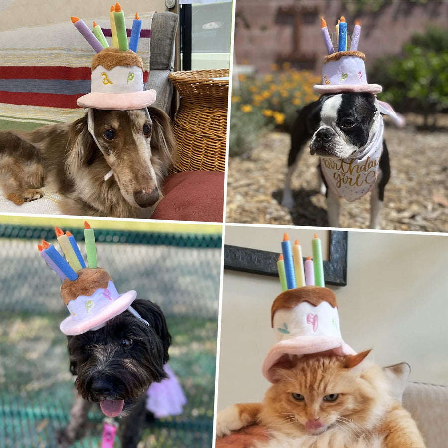 Dog Birthday Hat, Pet Birthday Cake Hat with Candle for Dog Cat Party Costume, Pink Large Soft and comfortable short plush material