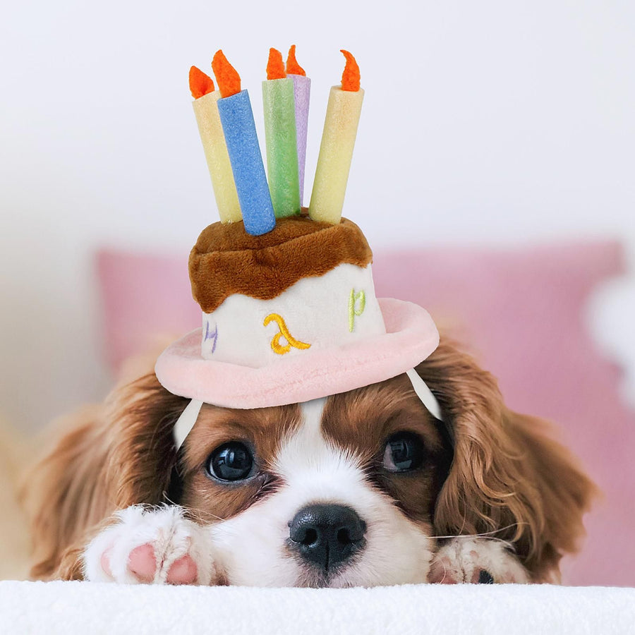 Dog Birthday Hat, Pet Birthday Cake Hat with Candle for Dog Cat Party Costume, Pink Large Soft and comfortable short plush material