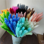 30PCS  Grass, 17.7" Small Dried  Grass Decor Pompass Grass Branches for Boho Home Wedding Flower Arrangements Party Decor