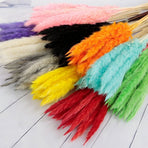 30PCS  Grass, 17.7" Small Dried  Grass Decor Pompass Grass Branches for Boho Home Wedding Flower Arrangements Party Decor