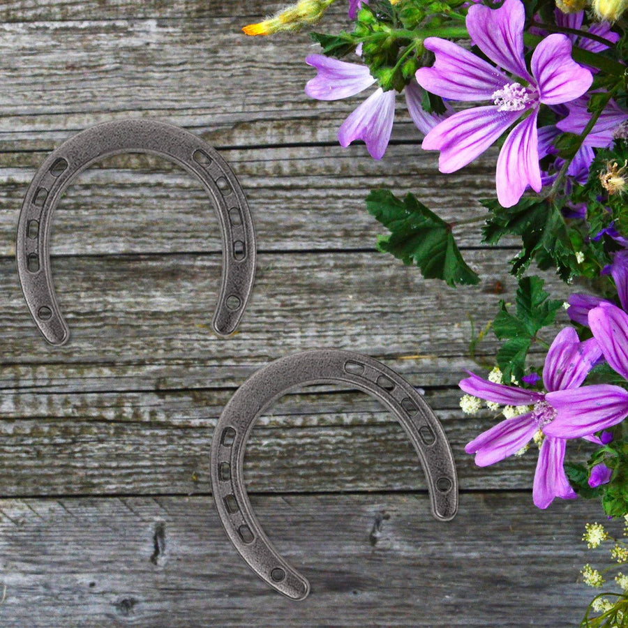 4Pcs Metal Horseshoe Wall Decoration Grey Cast Iron Hanging Ornament