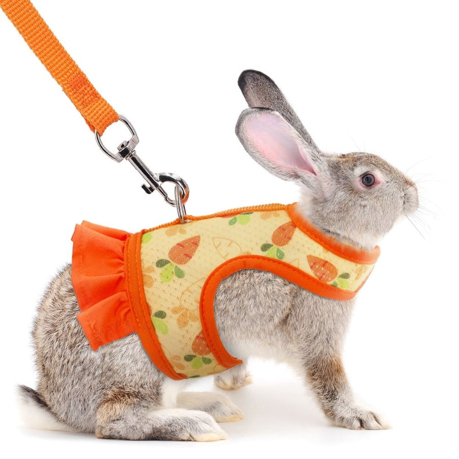 Rabbit Harness and Leash for Walking Escape Proof - Cute Carrot Pattern Mesh Breathable Bunny Vest Harness Outdoor Camping Hiking Training - Also Suit for Ferret Kitten Puppy Small Animals