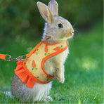 Rabbit Harness and Leash for Walking Escape Proof - Cute Carrot Pattern Mesh Breathable Bunny Vest Harness Outdoor Camping Hiking Training - Also Suit for Ferret Kitten Puppy Small Animals