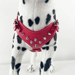 Spiked Studded Leather Puppy Dog Harness Vest for Small Breeds Pink