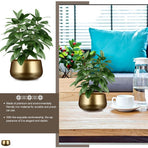 Elegant Golden Metal Flower Pot for Indoor Home Decoration and Planting, Stylish Plant Container