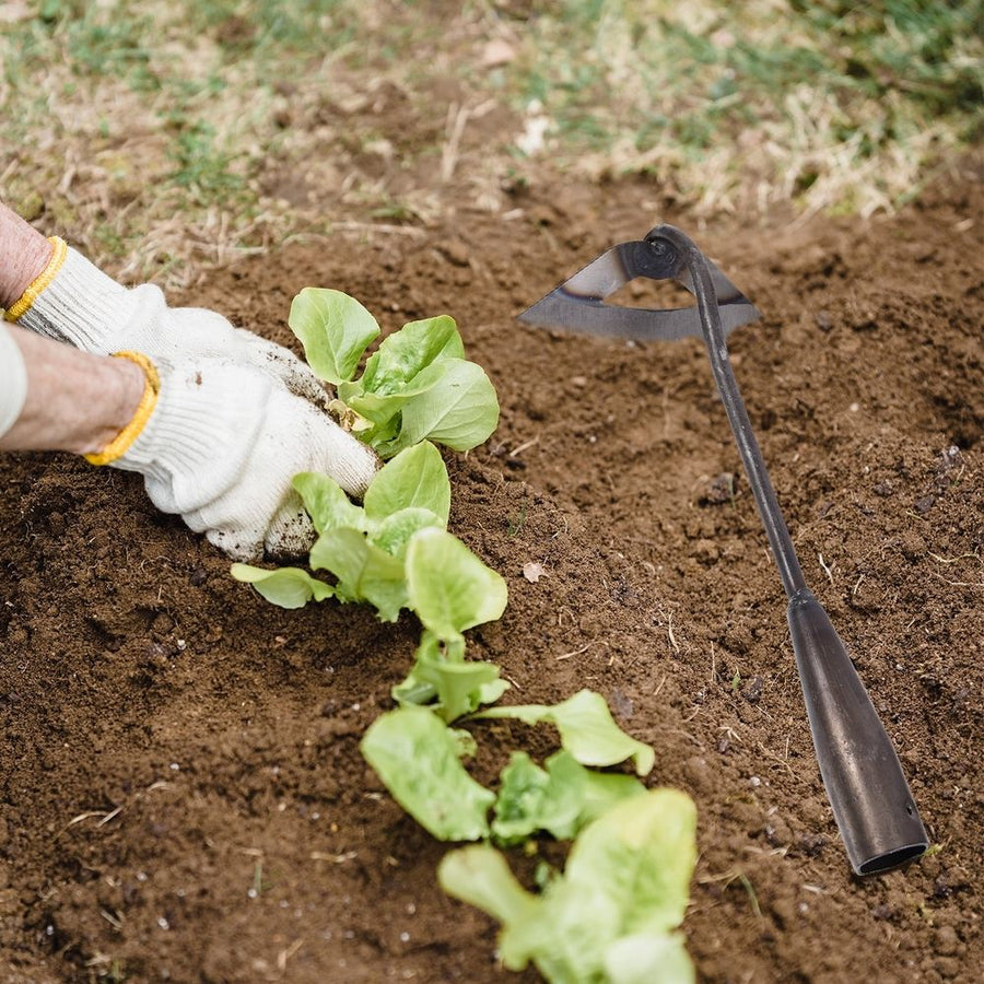 Steel Handheld Gardening Hoe 36.5cm for Grass Digging and Soil Cultivation