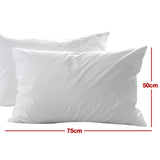 Casa Decor 50% Duck Feather 50% Down Pillow Cotton Cover 1000GSM Twin Pack - Top-Down View