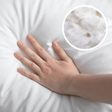 Casa Decor 50% Duck Feather 50% Down Pillow Cotton Cover 1000GSM Twin Pack - Low Angle