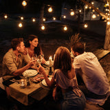 Milano Decor Edison Globe Solar Powered Lamp String Lights - White - 20 Lights - Rear View