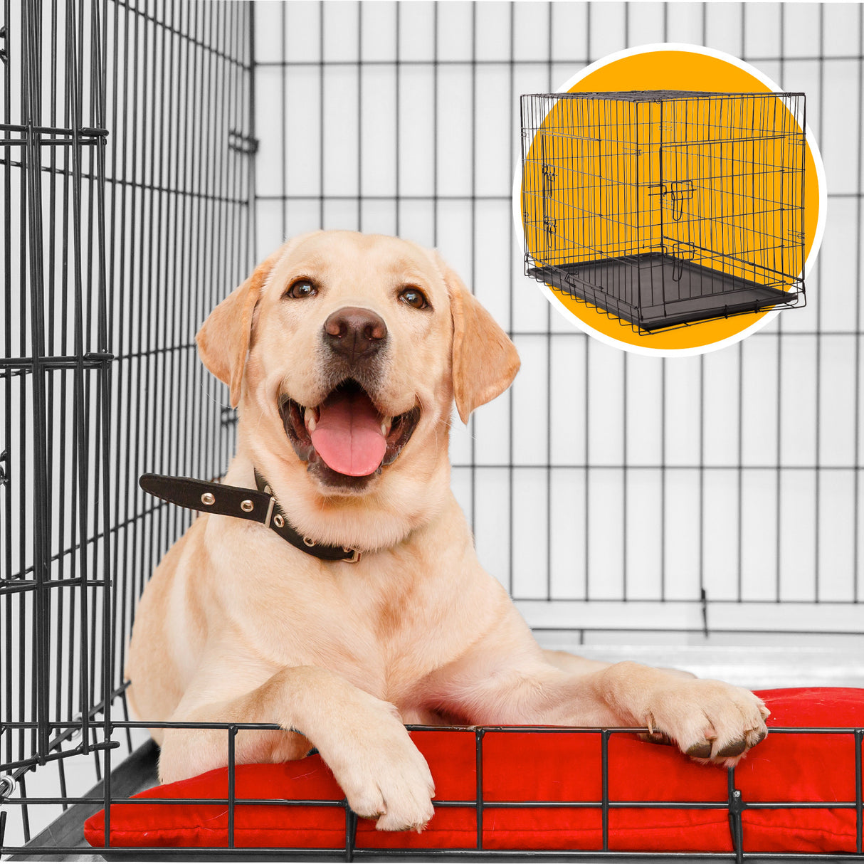 4Paws Dog Cage Pet Crate Cat Puppy Metal Cage ABS Tray Foldable Portable Black - 36 - Black