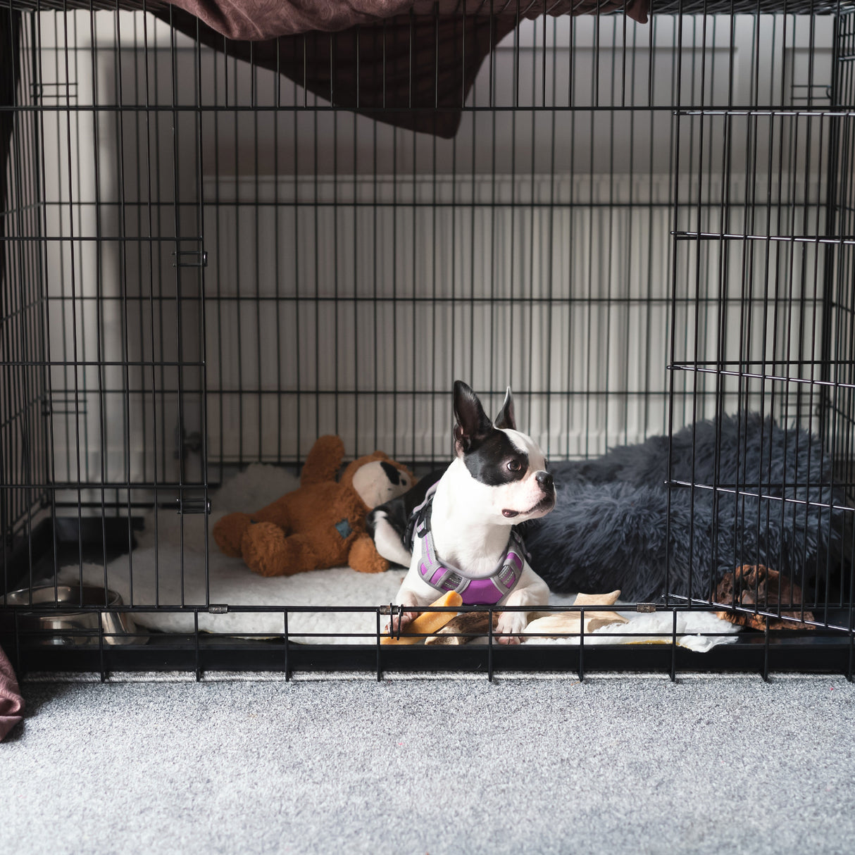 4Paws Dog Cage Pet Crate Cat Puppy Metal Cage ABS Tray Foldable Portable Black - 36 - Black