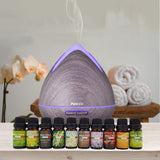 Purespa Diffuser Set With 10 Pack Diffuser Oils Humidifier Aromatherapy - Violet - Front View