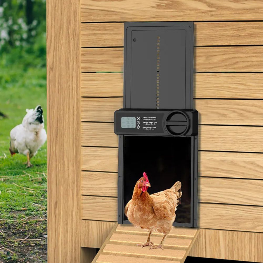 CARLA HOME Automatic Chicken Coop Door Opener with Timer Control, Anti-Pinch Protection, LCD Display & Battery Powered for Backyard Chickens