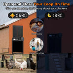 CARLA HOME Solar Automatic Chicken Coop Door with Timer, Light Sensor, Remote Control, Anti-Pinch, LED Screen & USB Charging