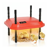 CARLA HOME Chick Brooder Heating Plate - Adjustable Height - Red - Chicken Heater