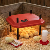 CARLA HOME Chick Brooder Heating Plate - Adjustable Height - Red - Chicken Heater - Front View