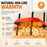 CARLA HOME Chick Brooder Heating Plate - Adjustable Height - Red - Chicken Heater - 45-Degree Angle