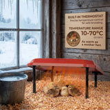 CARLA HOME Chick Brooder Heating Plate - Adjustable Height - Red - Chicken Heater - Rear View
