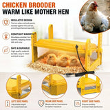 CARLA HOME Upgraded Chick Brooder Heating Plate - Adjustable Height - Yellow - Chicken Heater - Rear View