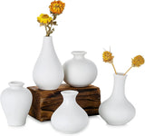 Ceramic Set of 5 White Vases for Home D?cor