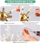 Modern Crystal Chandelier Firework, 8 Lights - Rear View