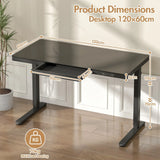 Electric Standing Desk with Drawer, One-Piece Glass Desktop, Black, 120x60cm - 45-Degree Angle