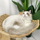 Large Cat Scratching Post Tree Tower with Baskets and Cubby Cave in Natural Wood & White, 60x40x99cm - Extra Image