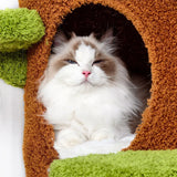 Large Multi-Level Cat Tree Tower in Green & Brown with Plush and Wood Design, 61x148cm - Top-Down View