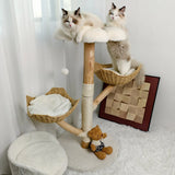 Real Wood Cat Tree Tower in Natural Wood for Indoor Cats Up to 10KG, 60x111cm - Top-Down View