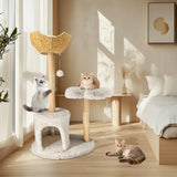 Large Black Real Branch Cat Tree Tower with Plush Condo and Scratching Posts - Rear View