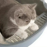High Side Cat Litter Box with Scoop - Rear View