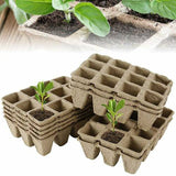 10pcs Biodegradable Seedling Trays 12-Hole Garden Starter - Extra Image