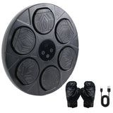 Bluetooth Smart Punching Bag Wall Pad 9 Speeds w/ Gloves - Extra Image