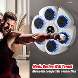 Bluetooth Boxing Machine Wall Mount White, Gloves Included, - Rear View