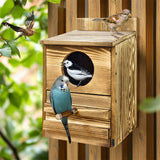 Owl Nesting Box Bird Feeder Paulownia Wood Acrylic - Front View
